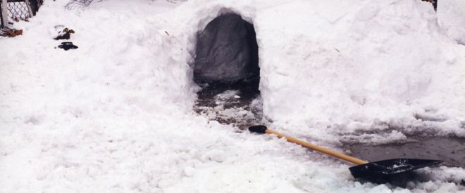 Igloo